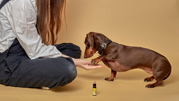 Rescue stress relief for people and their pets | Calming support for you and your best friend