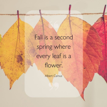 Fall is a second spring where every leaf is a flower. -Albert Camus